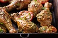 Grilled chicken and tomatoes with basil pesto Royalty Free Stock Photo