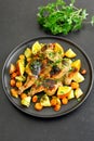 Grilled chicken with vegetables Royalty Free Stock Photo