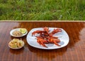 Grilled chicken on white plate with parsley, salad and beer outdoors Royalty Free Stock Photo