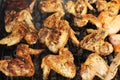 Grilled chicken wings Royalty Free Stock Photo
