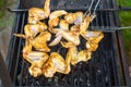 Grilled chicken wings on a barbecue grill in the summer yard Royalty Free Stock Photo