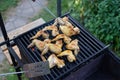 Grilled chicken wings on a barbecue grill in the summer yard Royalty Free Stock Photo