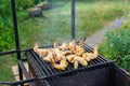 Grilled chicken wings on a barbecue grill in the yard Royalty Free Stock Photo