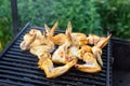 Grilled chicken wings on a barbecue grill in the yard Royalty Free Stock Photo