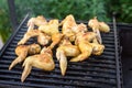 Grilled chicken wings on a barbecue grill in the yard Royalty Free Stock Photo