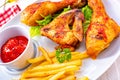 Grilled chicken wings,legs,chips and vegetables Royalty Free Stock Photo