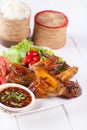 Grilled Chicken Wings with Red Spicy Sauce Royalty Free Stock Photo