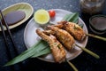 Grilled chicken wings with teriyaki sauce. Royalty Free Stock Photo