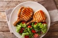 grilled chop pork honey glaze, served with a salad of fresh vegetables close-up on a plate. horizontal top view Royalty Free Stock Photo