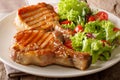 grilled chop pork honey glaze, served with a salad of fresh vegetables close-up on a plate. horizontal Royalty Free Stock Photo