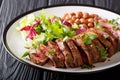 Grilled chopped beef steak with fresh salad and beans close-up. Royalty Free Stock Photo