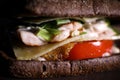 Club sandwich with ham, cheese, red tomatoes, green onions close up on a black background. Royalty Free Stock Photo