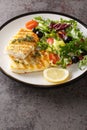 Grilled cod with fresh salad tomatoes, olives, lettuce mix close-up in a plate. Vertical Royalty Free Stock Photo