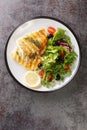 Grilled cod with fresh salad tomatoes, olives, lettuce mix close-up in a plate. Vertical top view Royalty Free Stock Photo