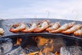 Grilled Cooked Shrimp With Smoke And Flames Grill. Grilled Sea Food Outdoor Summer Family Party Picnic In The Park Blue