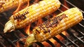 Grilled corn on the cob on a barbecue grill with flames Royalty Free Stock Photo