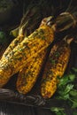 Grilled Corn On Cob with Butter herb Royalty Free Stock Photo
