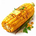 Grilled Corn on Cob with Butter and Herbs Isolated on White Background Royalty Free Stock Photo
