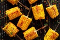 Grilled corn on the cob with butter, herbs, salt and aromatic spices on the grill plate Royalty Free Stock Photo