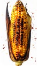 Grilled Corn on the Cob with Char Marks and Red Pepper Flakes Against White Background Royalty Free Stock Photo