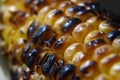 fresh grilled corn on the cob close up image Royalty Free Stock Photo