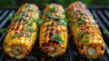 Grilled Corn on the Cob on a Grill Royalty Free Stock Photo