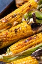 Grilled Corn on the Cob with Salt, paprika and Butter. Organic food, vegetarian meal. Barbecue, bbq. Maize, sweetcorn Royalty Free Stock Photo