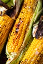 Grilled Corn on the Cob with Salt, paprika and Butter. Organic food, vegetarian meal. Barbecue, bbq. Maize, sweetcorn Royalty Free Stock Photo