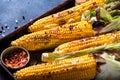 Grilled Corn on the Cob with Salt, paprika and Butter. Organic food, vegetarian meal. Barbecue, bbq. Maize, sweetcorn Royalty Free Stock Photo