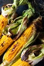 Grilled Corn on the Cob with Salt, paprika and Butter. Organic food, vegetarian meal. Barbecue, bbq. Maize, sweetcorn Royalty Free Stock Photo