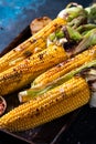 Grilled Corn on the Cob with Salt, paprika and Butter. Organic food, vegetarian meal. Barbecue, bbq. Maize, sweetcorn, grain. Royalty Free Stock Photo