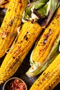 Grilled Corn on the Cob with Salt, paprika and Butter. Organic food, vegetarian meal. Barbecue, bbq. Maize, sweetcorn, grain. Royalty Free Stock Photo