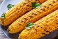 Grilled corn cob on white wooden rustic background Royalty Free Stock Photo