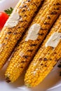 Grilled corn cob on white wooden rustic background Royalty Free Stock Photo