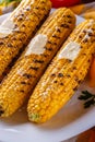 Grilled corn cob on white wooden rustic background Royalty Free Stock Photo