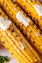 Grilled corn cob on white wooden rustic background Royalty Free Stock Photo