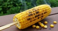 Grilled Corn on the Cob on Wooden Table Royalty Free Stock Photo