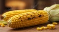 Grilled Corn on the Cob on Wooden Table Royalty Free Stock Photo