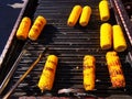 Grilled corn cobs outdoor - palette Royalty Free Stock Photo