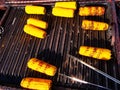 Grilled corn cobs outdoor - palette Royalty Free Stock Photo