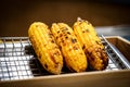 Grilled corn on the grill Royalty Free Stock Photo