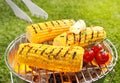 Corncob en brochette Royalty Free Stock Photo