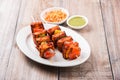 Grilled cottage cheese or also known as Paneer Tikka Kebab or chili paneer or chilli paneer or tandoori paneer in india India, bar Royalty Free Stock Photo