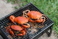 Grilled crabs on picnic charcoal stove