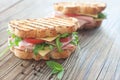 Grilled deli sandwiches Royalty Free Stock Photo