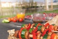 Grilled delicious vegetables selective focus. Barbecue party outdoor Royalty Free Stock Photo