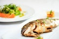 Grilled dorada fish Royalty Free Stock Photo