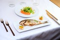 Grilled dorada fish Royalty Free Stock Photo