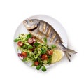 Grilled dorada fish on white plate Royalty Free Stock Photo