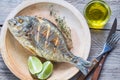 Grilled Dorade Royale Fish on the plate Royalty Free Stock Photo